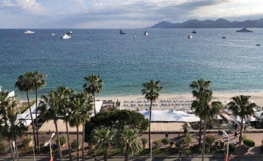 TSF et la Sélection du Festival de Cannes 2020… « in abstentia » mais très belle !