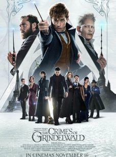 THE CRIMES OF GRINDELWALD