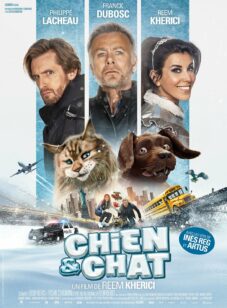 CHIEN & CHAT