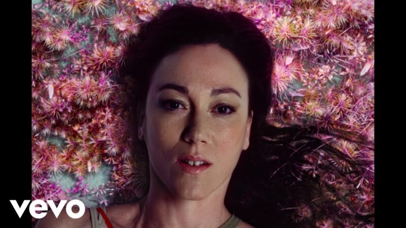 DeLaurentis – I&rsquo;m Just a Rose